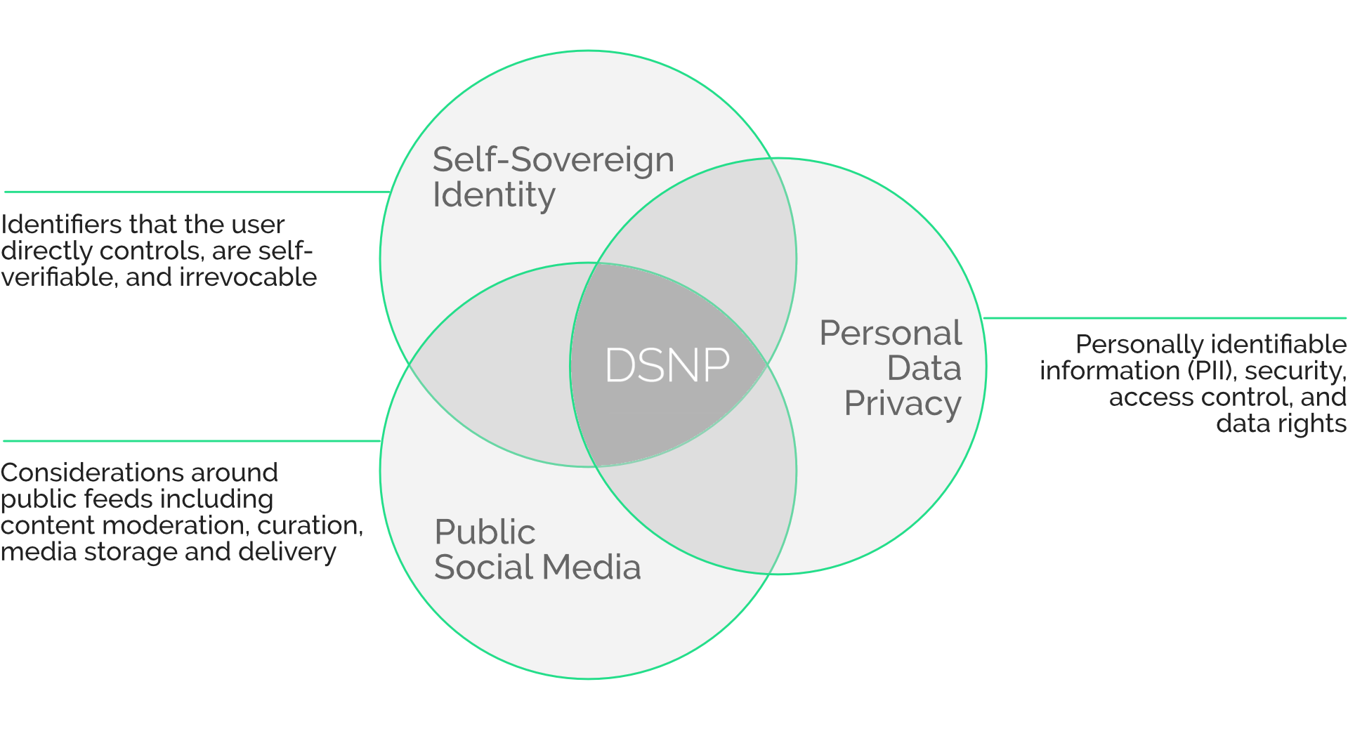 DSNP Diagram